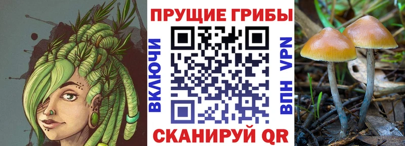 Галлюциногенные грибы мухоморы  Белоусово 